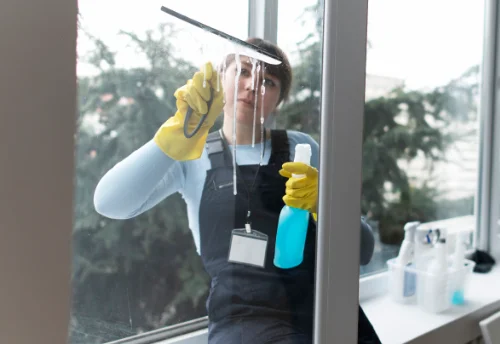 Nettoyage de vitres intérieures et extérieures à Saussey
